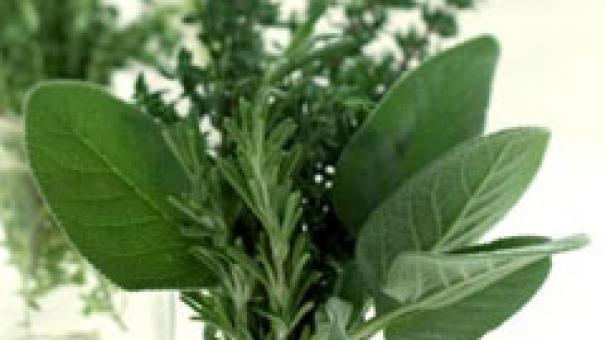 Hierbas aromáticas - raiforte o rÁbano picante (