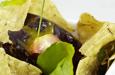 ver recetas relacionadas: Ensalada con aderezo de mango y jala...