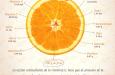 Beneficios de la naranja (NOTICIA)